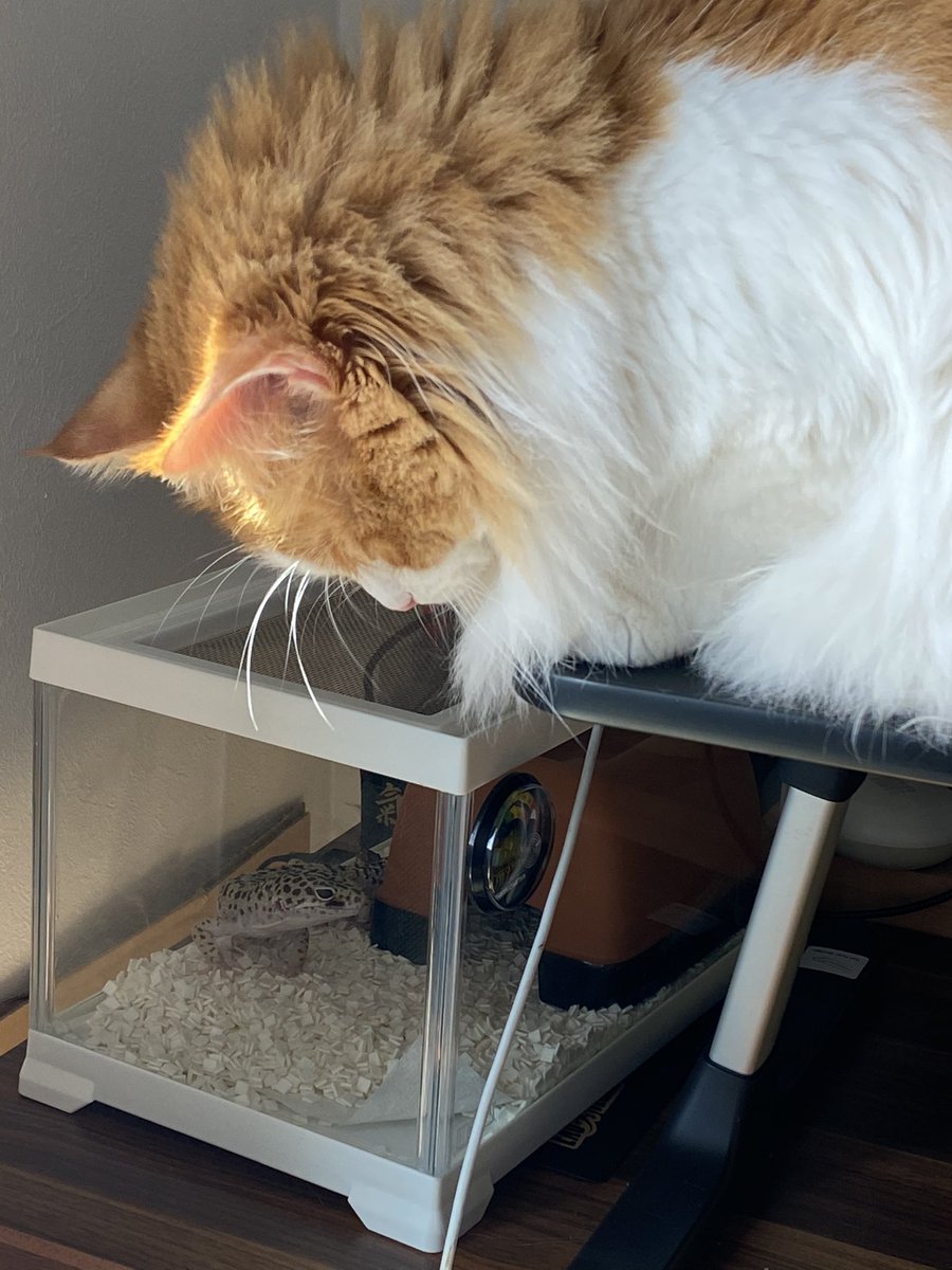 おはようございます