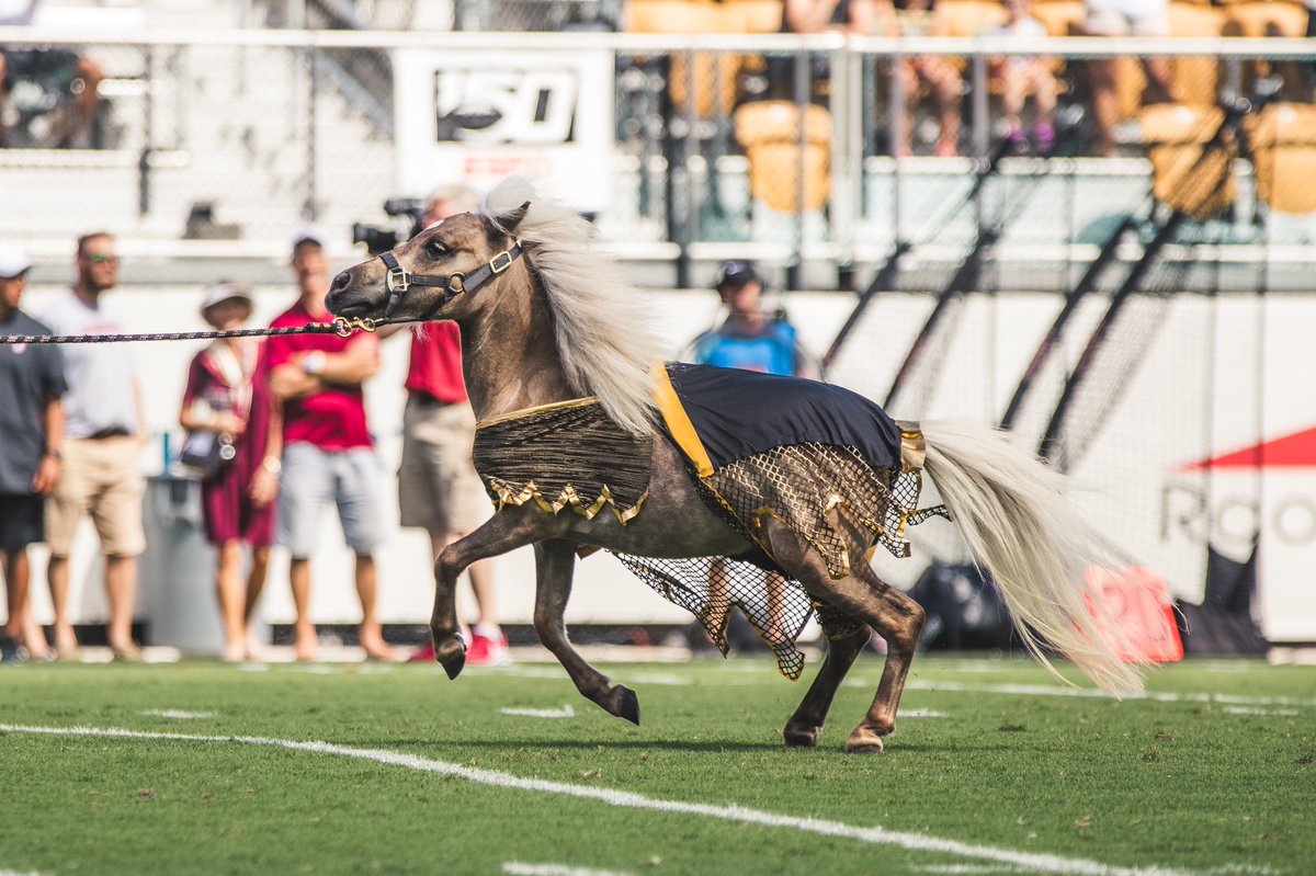 It me, of course😌