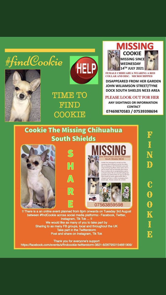 RachaelB100's tweet photo. #FindCookie
❗️Someone Somewhere knows where She is❗️
Help her home to her family 🙏
#TeacupChihuahua
#Missing 14th July 2021
#TyneDock Area
#SouthShields #NE33
#Spayed #Chipped
#findCookie
https://t.co/zBD6VB2qLn
https://t.co/GwhJe8RGpK https://t.co/Us6QKtudqr