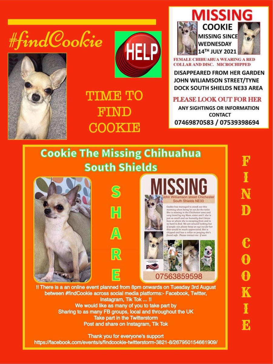 rosiedoc666's tweet photo. #findCookie
https://t.co/S6dQvVpjAa
Female #Chihuahua missing since 14/7/21
#TyneDock #SouthShields 💔🆘💔
https://t.co/jUBEIgqu24
TEACUP CHI 😓😓😓 https://t.co/7C5Oe3JBoY