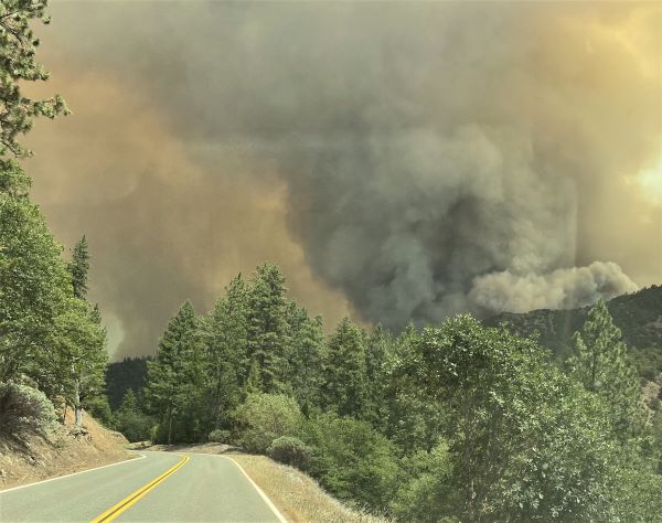 Klamath_NF's tweet photo. River Complex Fire Update for August 3, 2021 including a list of each fire within the complex and the status. For the full update, evacuation information and additional information, go to the River Complex 2021 Inciweb page at https://t.co/ABCw7QcenD https://t.co/b8CC8gSXNy