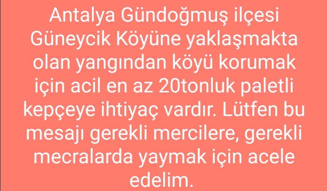 Koyun çobanı tweet media