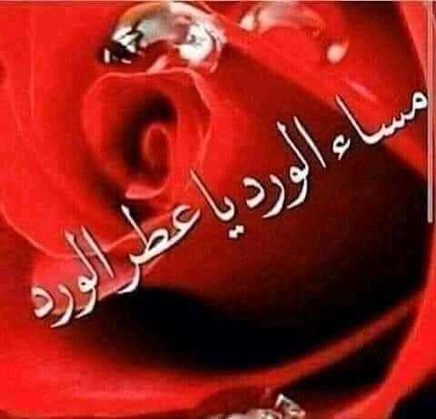 <a href="/dodo28795489/">princess Dodo</a> #مّـْـٌـَــَـٌسْــاءِ .… الـفــل..حبيبتي❤❤