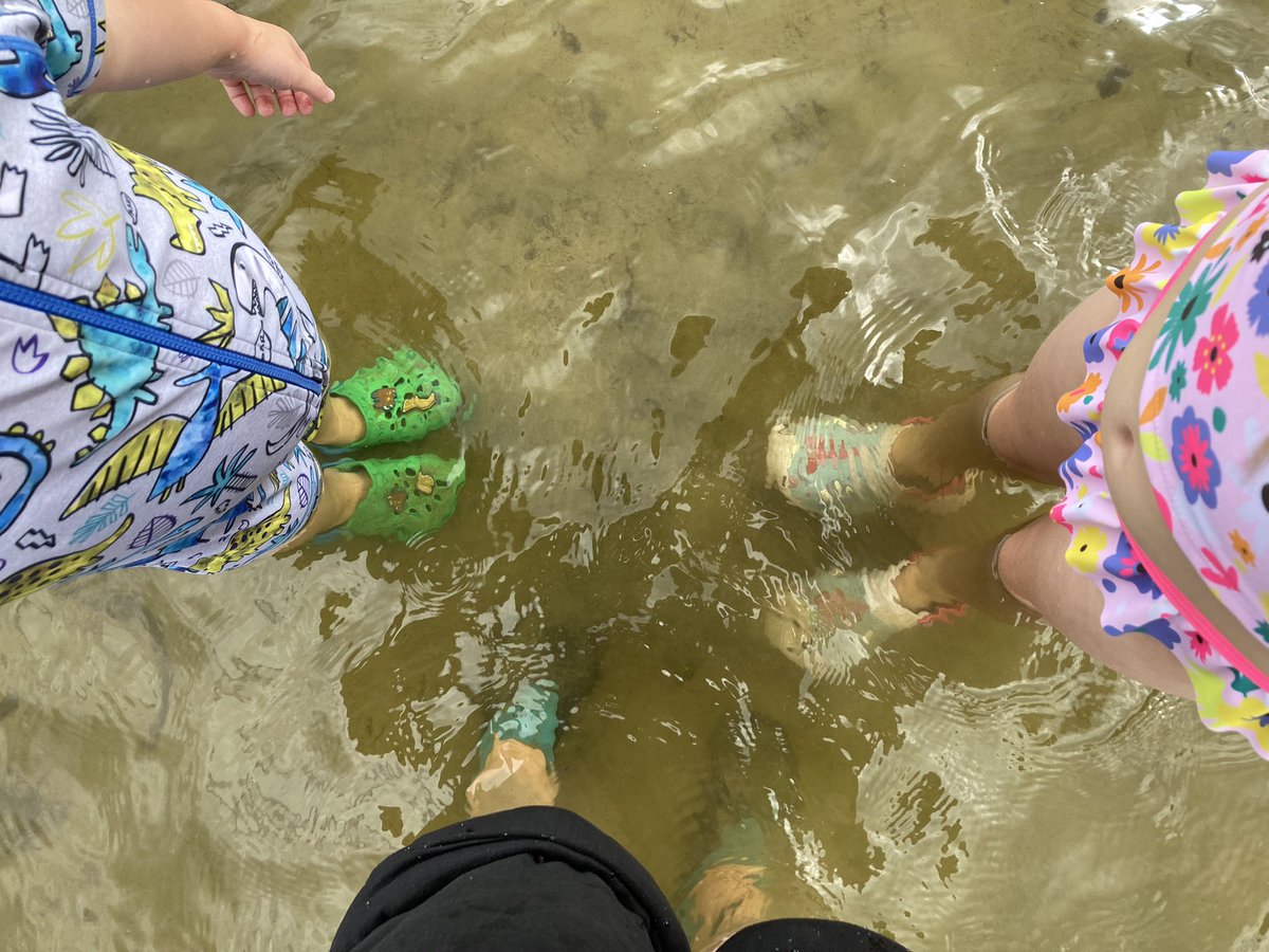 susanmeikle's tweet image. Today’s #AHPsActive included an hour and a half’s walk on the Luss fairy trail followed by a 15 minute paddle in the Loch #familyactivities #notstopped #holidayinscotland #WeActiveChallenge