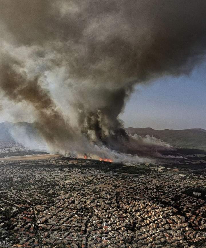 Athanasios Nenes tweet media