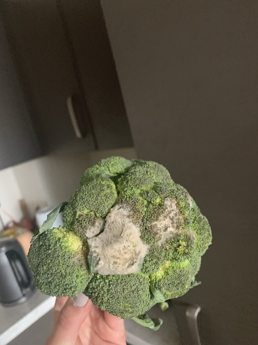 EmilyAdamsX's tweet photo. Hey @sainsburys can I have a new broccoli please if this is what you’re serving those who are isolating through online delivery? Thanks https://t.co/LEbKzRv2GE