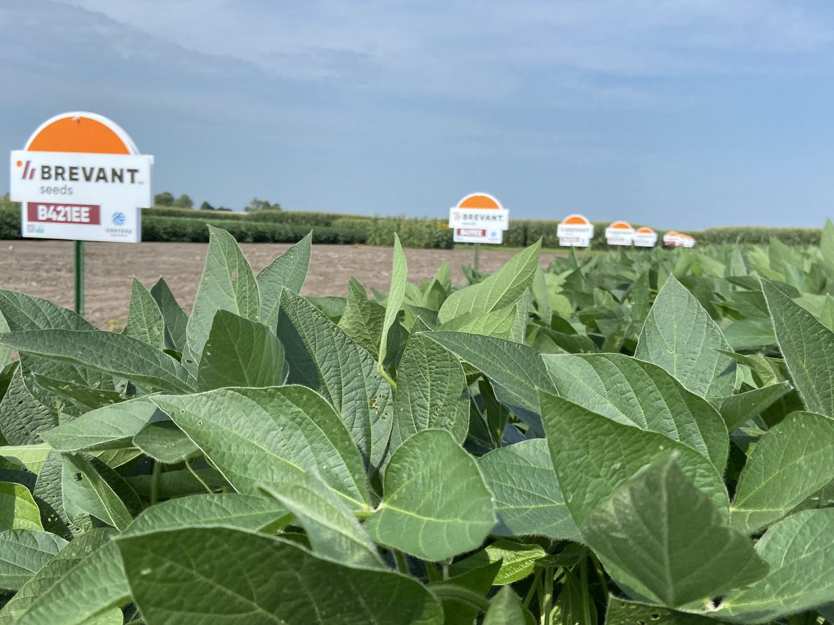 Did you know that Enlist One and Enlist Duo can be applied up to R2 or full flower?  Check growth stages, not the calendar date. <a href="/EnlistOnline/">Enlist™ weed control system</a> <a href="/CortevaUS/">Corteva U.S.</a> <a href="/BrevantseedsUS/">Brevant seeds U.S.</a>