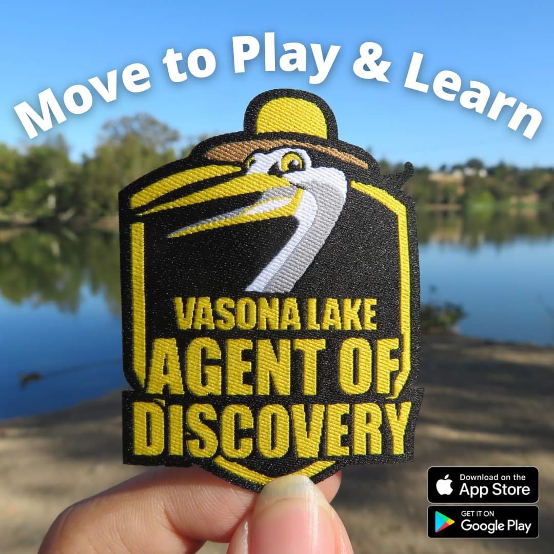 SCCParks's tweet photo. Earn rewards, like this patch and more, when you play trivia missions on #AgentsofDiscovery. See what our missions have to offer with Agents of Discovery at https://t.co/1WT9rn10Wg https://t.co/q4H8gOfrLs