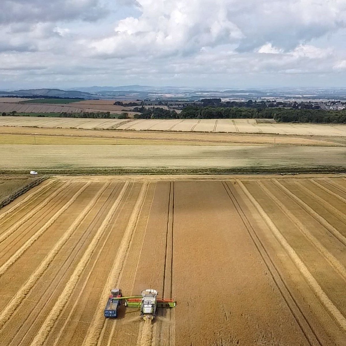Foot down before the rain tomorrow! 

#Harvest2021 #farm365 #harvest  #DJIMini2