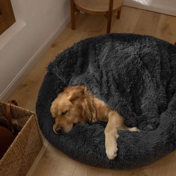 SleepSoundltd's tweet photo. Introducing the Range of Colours our Premium Dog Beds Come In!  🐶 💤🤩

We have Light Grey, Dark Grey and Walnut Brown! 

#DogsofTwittter  #dogsneedsleep #dogsarelove https://t.co/b2UbrbK3S1