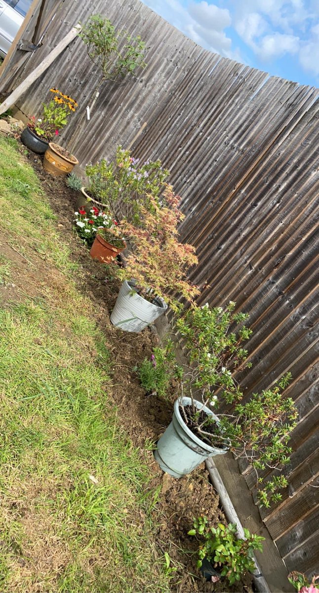 TheLighthouseCe's tweet photo. Today’s reason to smile……..I love my garden, it’s starting to look beautiful and filling with colour #ProjectPinkPalace #Garden #Plants #Flowers #Pretty #Transformation xxx https://t.co/gbhB08LSPC