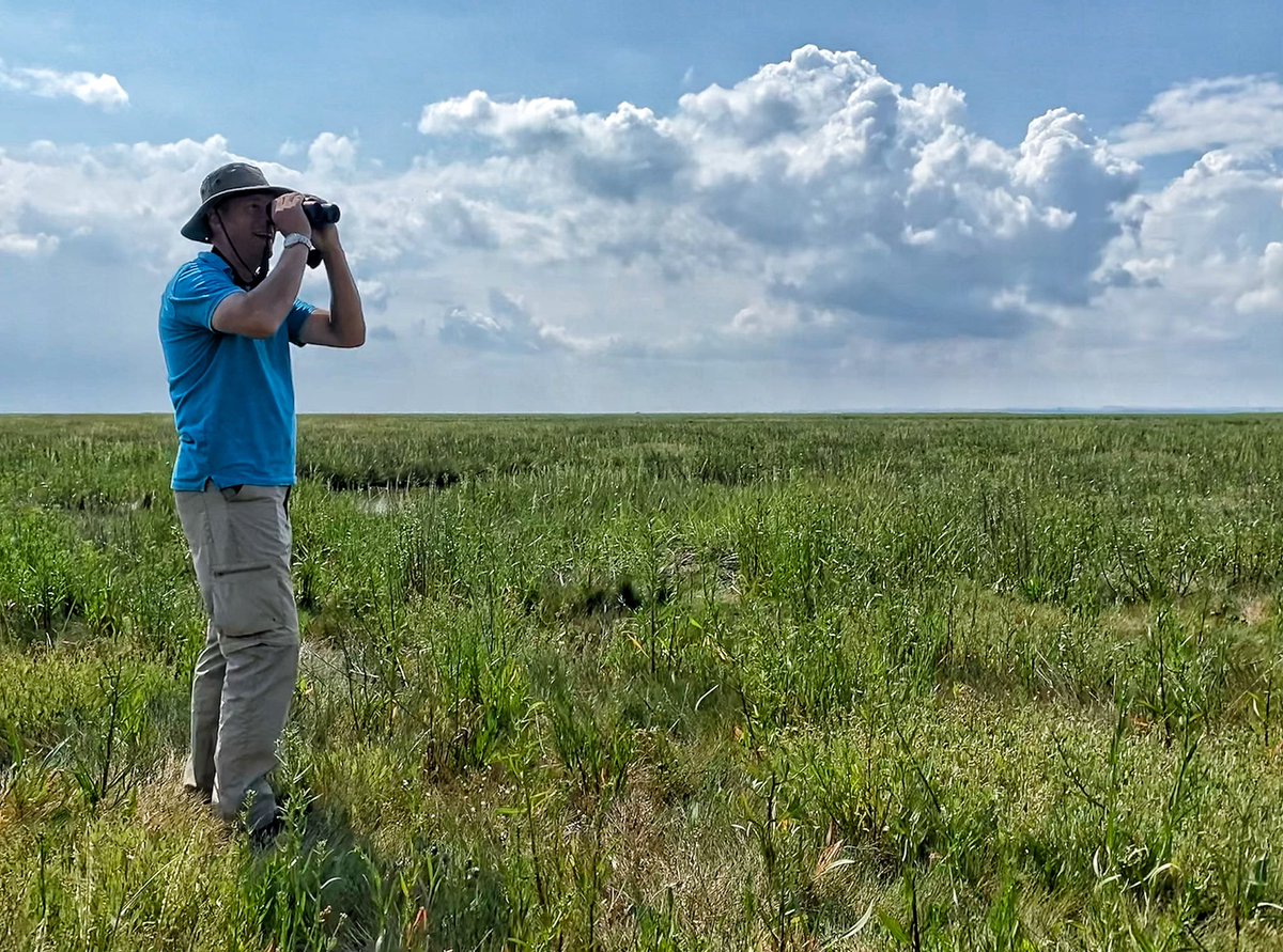 In the right place new #saltmarsh will rapidly develop into diverse coastal habitat all on its own, gradually increasing in elevation, absorbing tidal energy, reducing flood risk and locking away stacks of carbon #wetlandscan #humberside #bluecarbon #bluerecovery #vault #abpmer