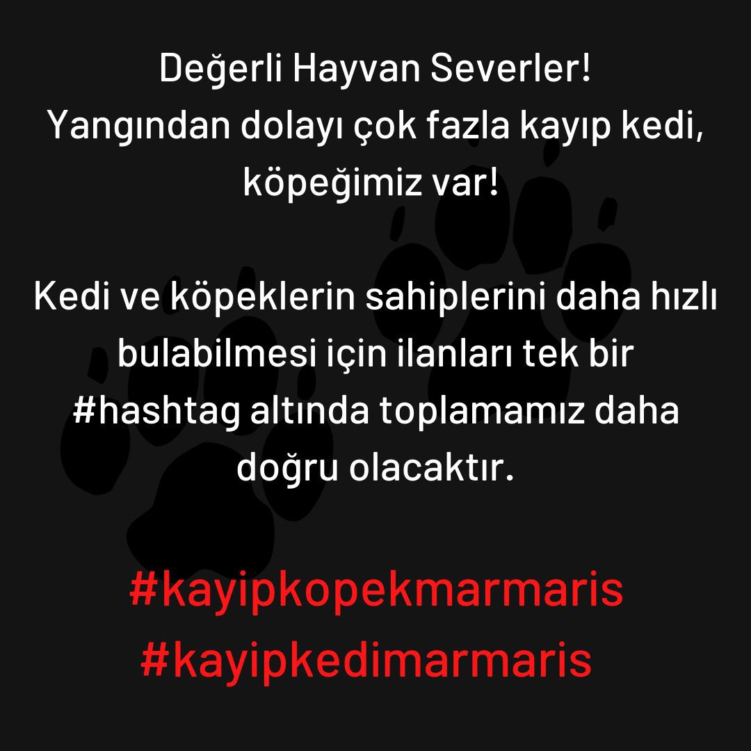ahseneroglu22's tweet photo. #kayıpköpekmarmaris #kayıpkedimarmaris https://t.co/jEARpoZJMh