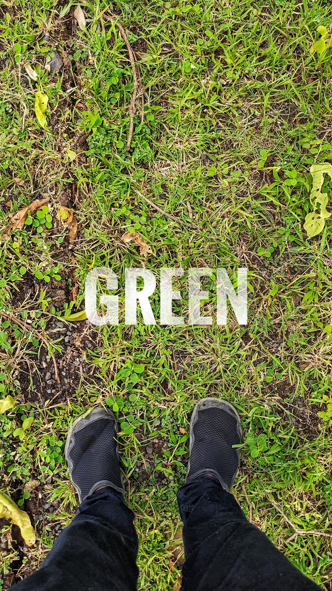 obedsayyad's tweet image. Green. 🌿
#outofphone