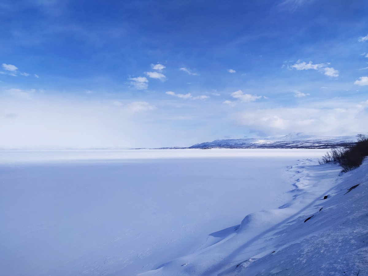 irenemorellj's tweet photo. Abisko (Suecia)

No supero este viaje https://t.co/cmaVNGRo4s