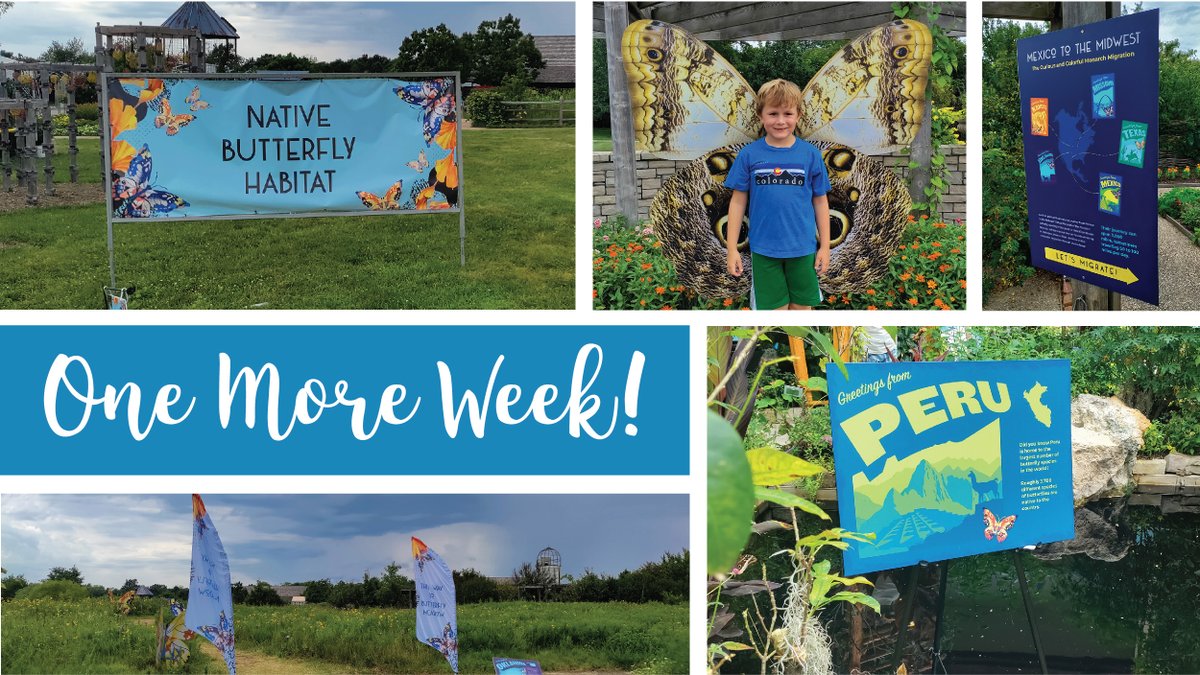 Last week to see the butterflies <a href="/PowellGardens/">Powell Gardens</a>! The exhibit is amazing and the signs are not too shabby either!😉 #signsandgraphics #festivalofbutterflieskc