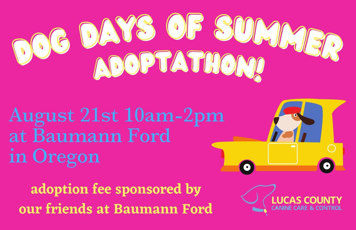 LucasCountyCanineCare (@lucascountydogs) on Twitter photo 