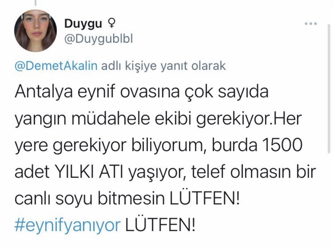 lütfen müdahale edilsin çok sayıda can kaybettik bari soyu tehlikede olan canlarımız tükenmesin. #acilmüdahale #havadandestekistiyoruz #eynifyanıyor #antalyayanıyor