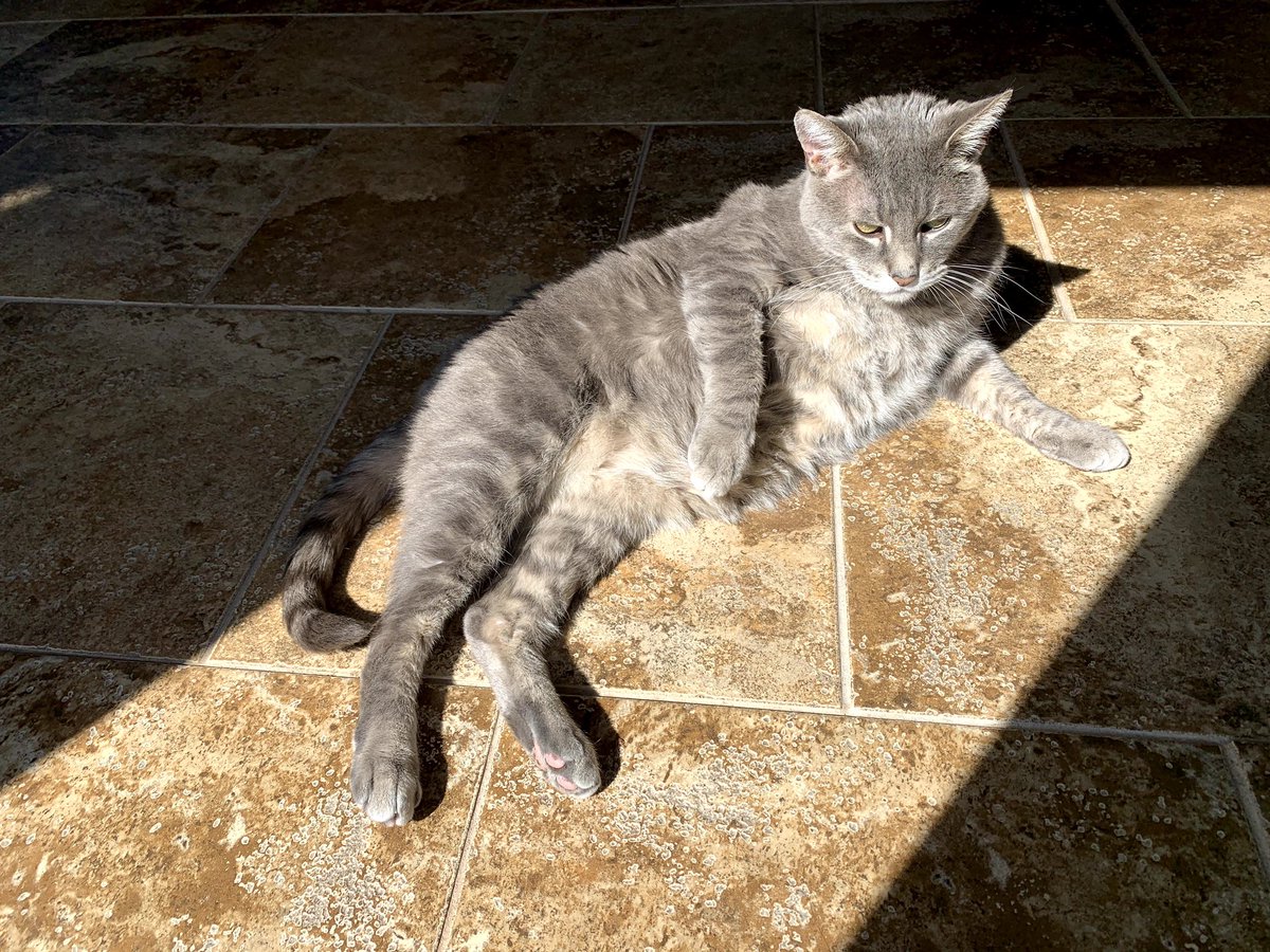 Louie is ready to race Usain Bolt.