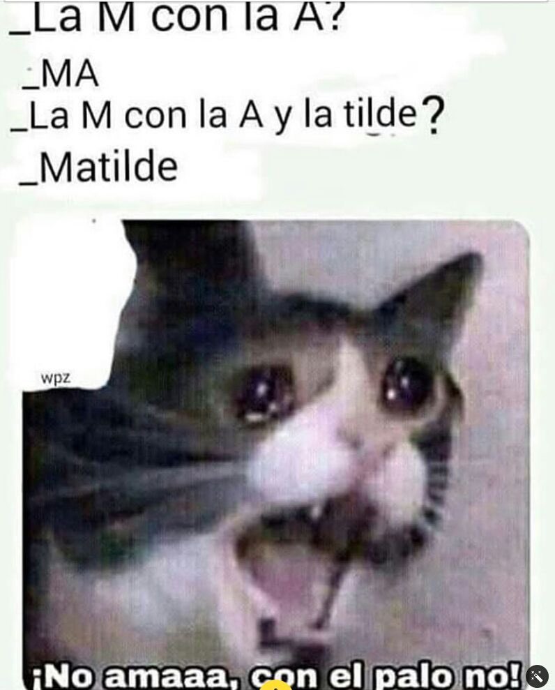 Yoel Baigorri (@yoowiii4) on Twitter photo 