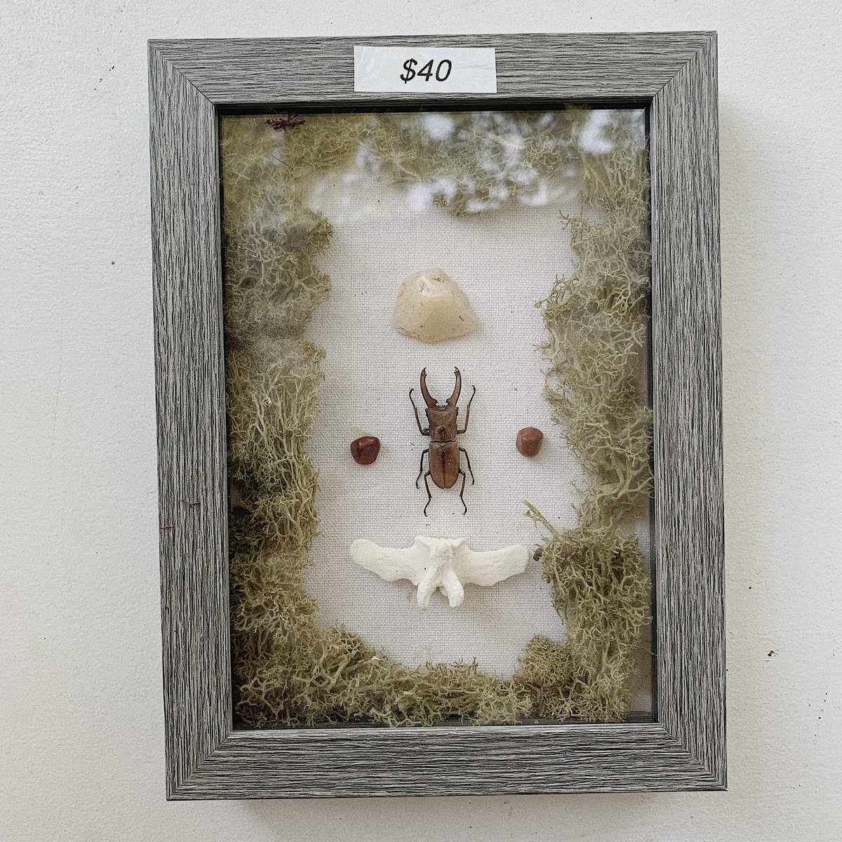 lunaremilie's tweet photo. shadow boxes available at https://t.co/HQHc2zwQqB! ⛓🖤 https://t.co/royQCAb8GH