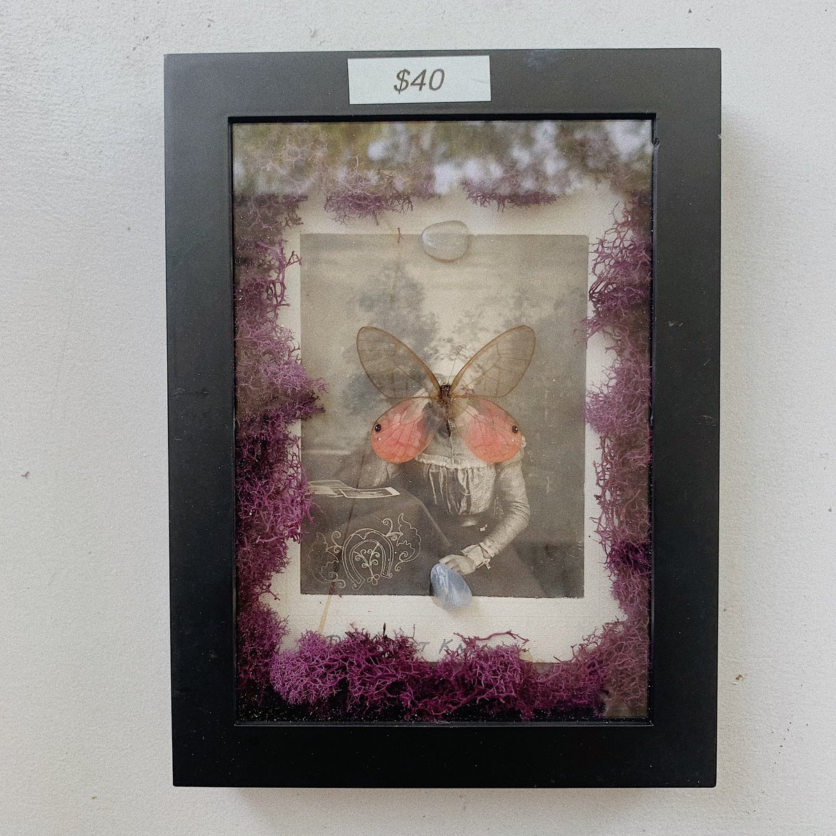 lunaremilie's tweet photo. shadow boxes available at https://t.co/HQHc2zwQqB! ⛓🖤 https://t.co/royQCAb8GH