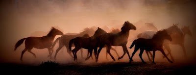 Eynif kaderine terk edilemez! Köyler, hayvanlar ve özellikle Yılkı atları sayıları 1500 civarında! Sesleri olun! 1 tweet atın, paylaşın 
#AcilHavaDesteğiİstiyoruz #eynifyanıyor #atlar