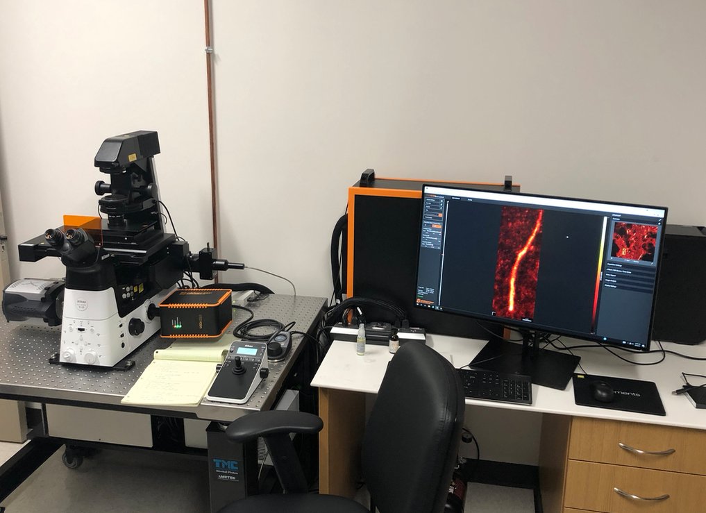 My first experiment on my new dual STED/STORM microscope!  I've been dreaming of this!  STED of AIS in brain sections (b4 spectrin in this case), STORM is up next...