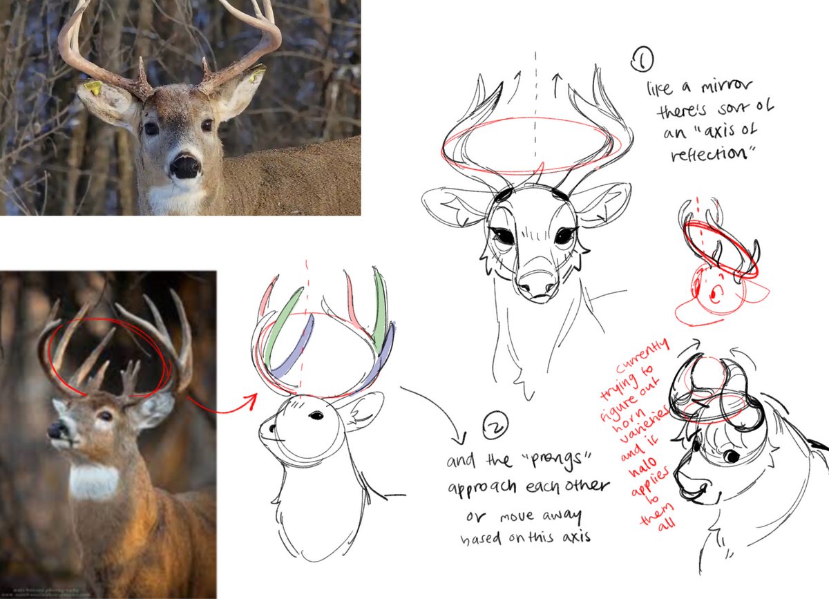 literally have no idea if this will help anyone, but random tutorial #1 if anyone wants to see how i wrestled with horns/antlers. i love drawing them but they’re so hard!! DX