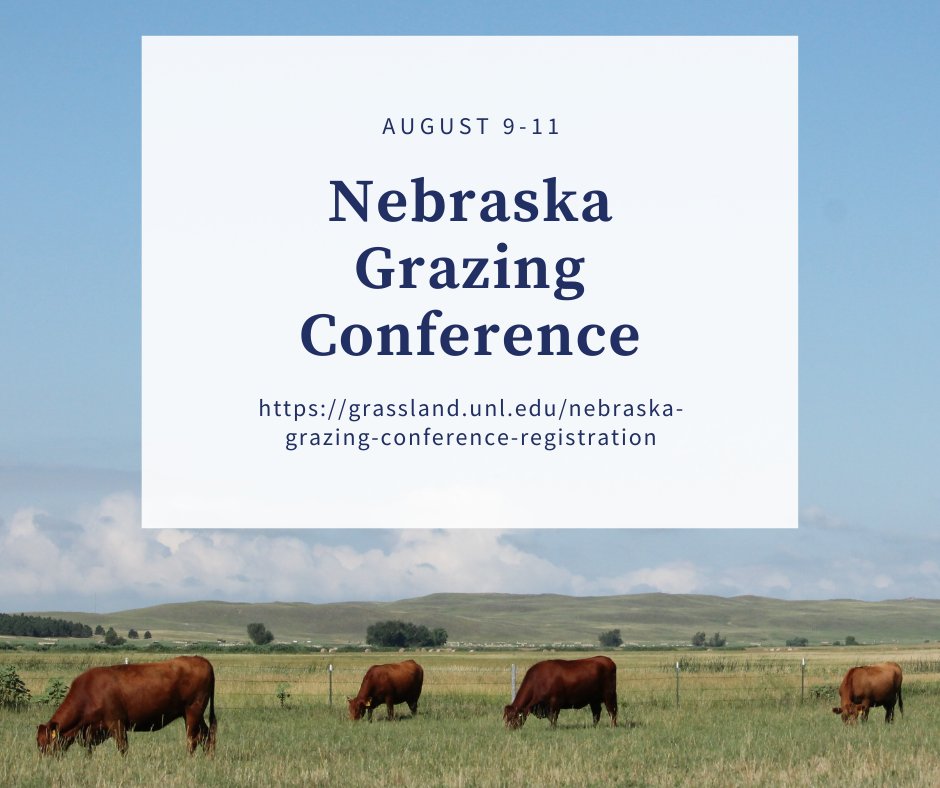 In recent UNL Center for Grassland Studies podcasts, presenters at the upcoming Nebraska Grazing Conference spoke. Listen to them at grassland.unl.edu/tags/center-gr…

#nebraskagrazingconference #unlcenterforgrasslandstudies #grazing #beefcattle #UNLBeefExt