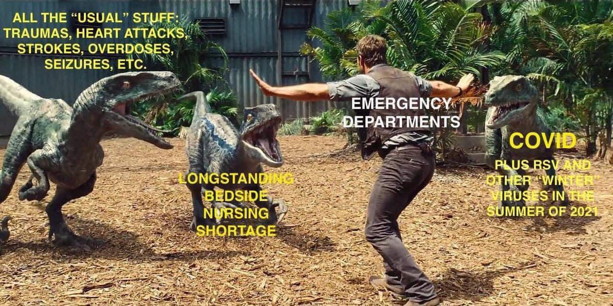 Ken Milne MD tweet media