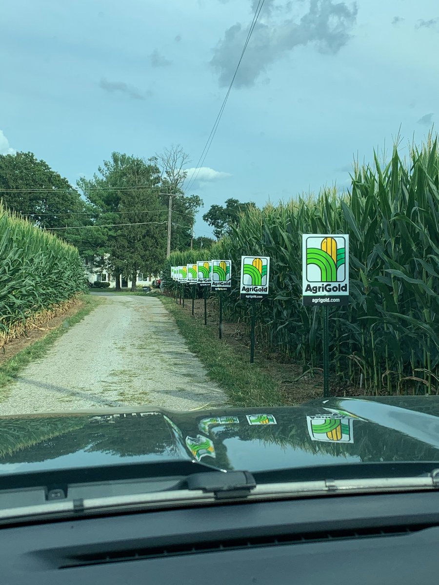 Chris weaver tweet media