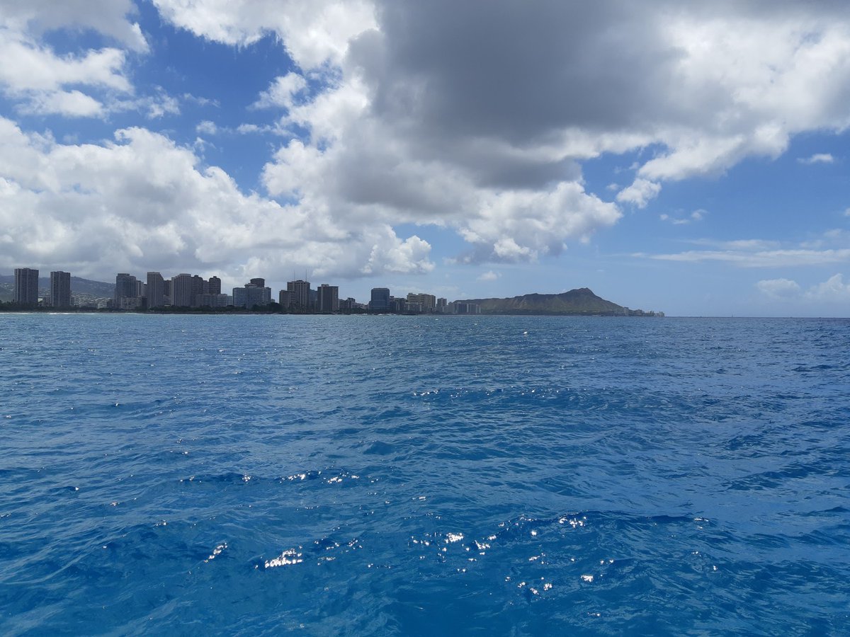 ট ইট র くまねこたび おはよー 週の真ん中 水曜日 コロナ前の夏休みはハワイ ウミガメも見れましたぁ わかるかなぁ 今年の夏休み は 近場で楽しむ方法考えなくちゃ ハワイ 海外旅行 旅行
