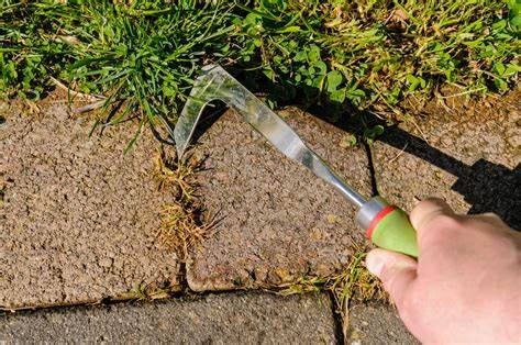 Weeds can show up in cracks and wreck your patios or driveways. They also ruin lawns and gardens. Fight the good fight by removing weeds regularly to protect your landscape and your home.