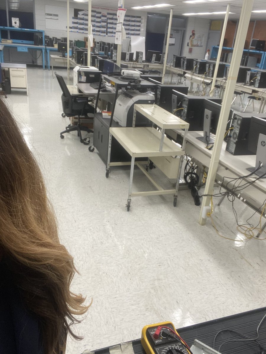 Holly Holland tweet media