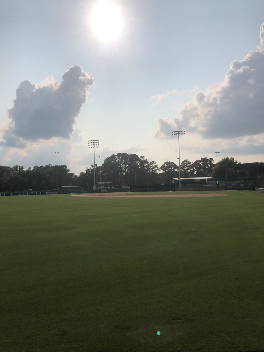 CoachJCardenas's tweet photo. It comes back every year!
#Goodgrass https://t.co/HN9Dkp0Vrt