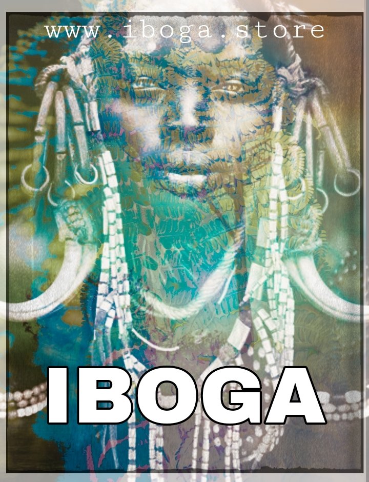 DellaIboga's tweet photo. You want to discover Africa and doing Iboga in this wonderful setting?
Ibogaspirit@gmail.com
#iboga2020 #ibogahealing #cosmiclove #sober #selbstliebe https://t.co/sgsNbjFbU7