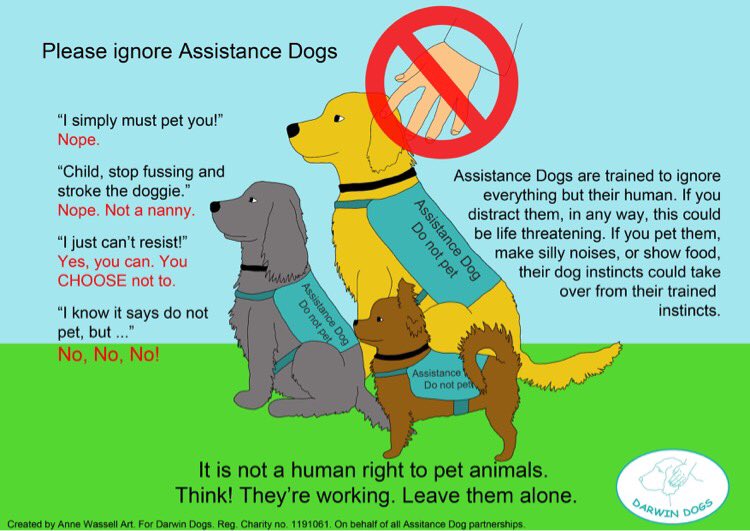 Darwin Dogs tweet media