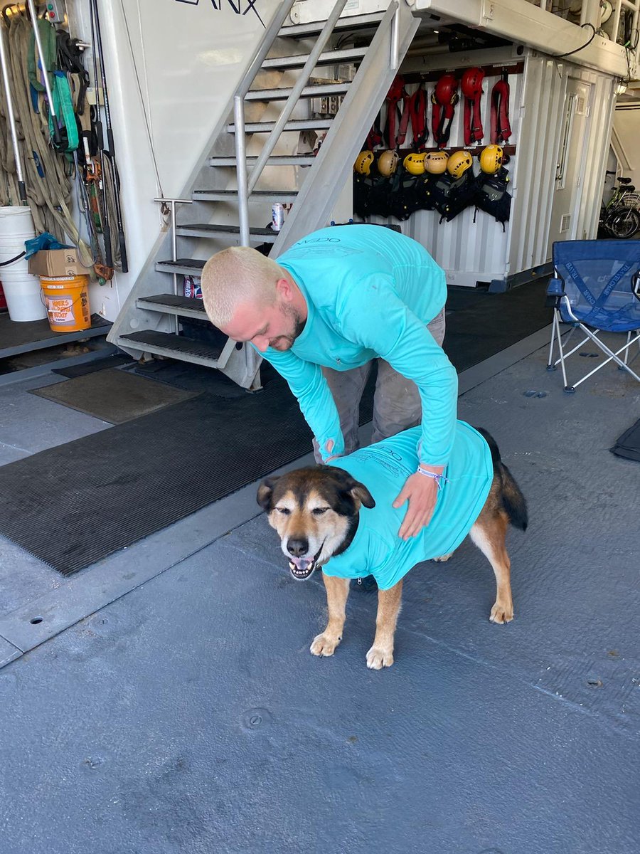 Our dog, Rudy, has been adopted by the crew of the Alucia, research vessel on the WHOI dock. They have been locked away from their homes, and pets,for about 20 months. Fifteen people from all over the world, every one warm and open. We send Rudy on board whenever they wish.