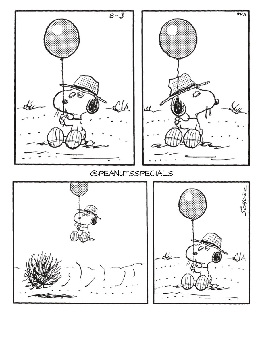 Peanuts Specials tweet media
