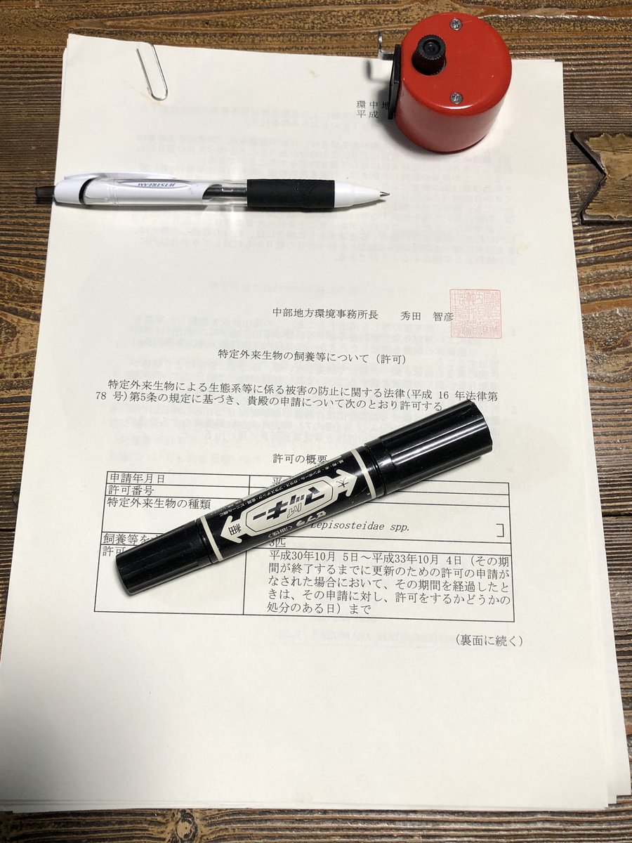 株式会社モンスターキス 特定外来生物の飼育されてる方 中でも3年前にガーやナイルパーチの駆け込み申請された方 そろそろ更新じゃない 私がそうです Googleスケジュールに入れといたから良かったけど ヒヤッとした ガー 特定外来生物 飼育許可 更新 株式会社モンスターキス 特定外来生物の飼育されてる方 中でも3年前にガーやナイルパーチの駆け込み申請された方 そろそろ更新じゃない 私がそうです Googleスケジュールに入れといたから良かったけど ヒヤッとした ガー 特定外来生物 飼育許可 更新