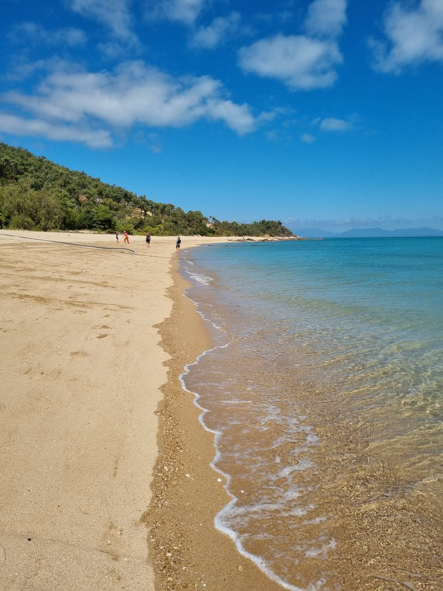 sjsmail's tweet photo. "Anyone who doesn't get vaccinated is an idiot" VS "I'll wait for other guinea pigs to go first and see how I go later". Locals living in this paradise (the Whitsundays in #nqld) are divided on the COVID jab. Coming up on AM @abcnews https://t.co/nmYZsi3m5W