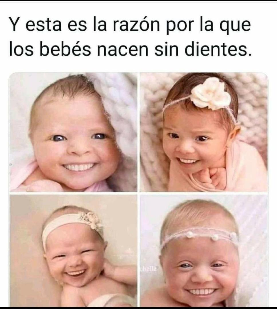 Adry45026517's tweet photo. Quien más se meo 💦 de la risa con esto? XD 🤣🤣🤣🤣🤣🤣🤣😆😆 https://t.co/x7OdqaUbwu