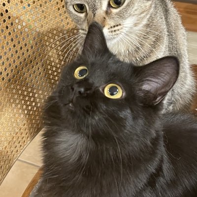 #NewProfilePic