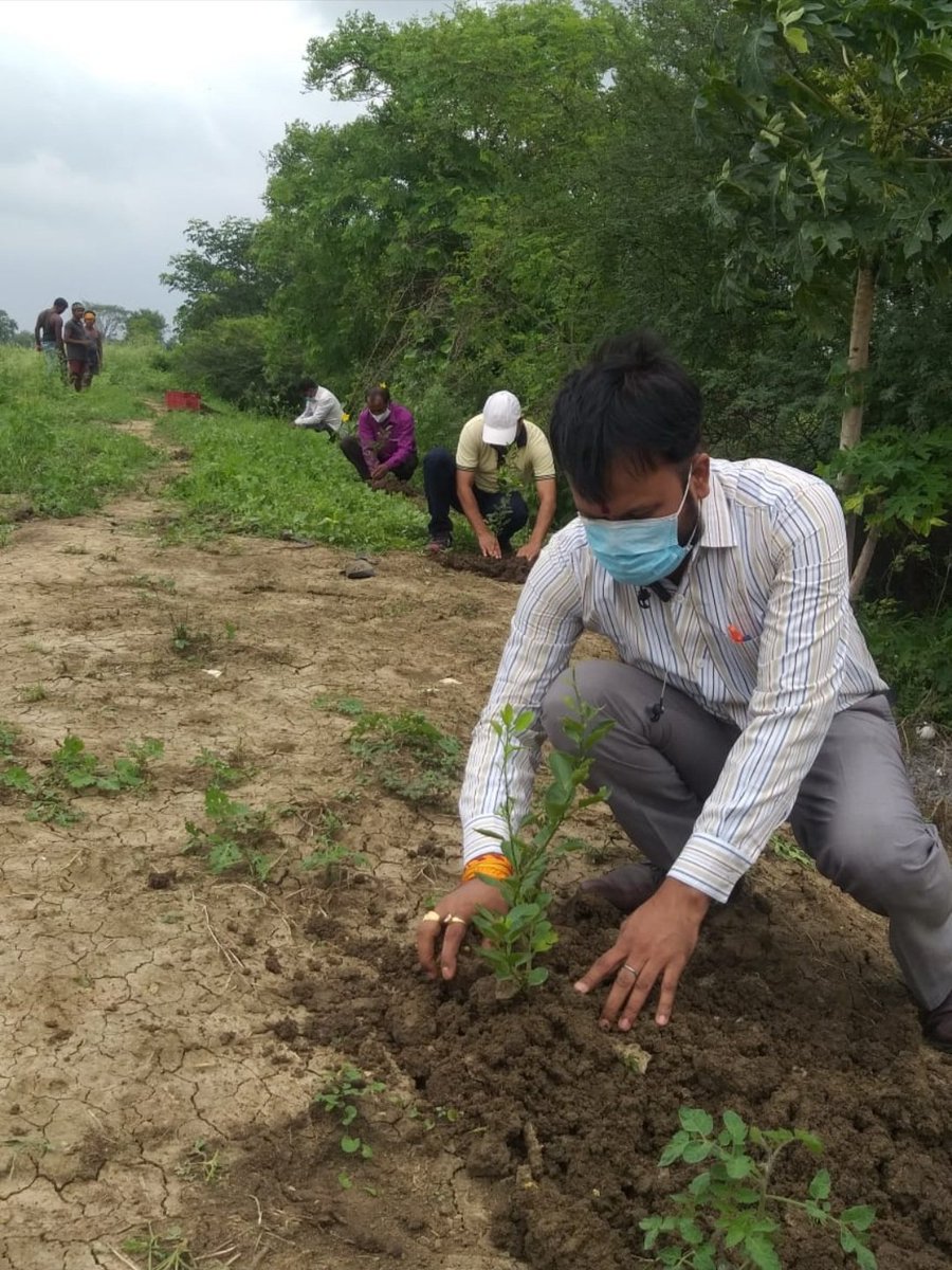 वृक्षारोपण कार्य।