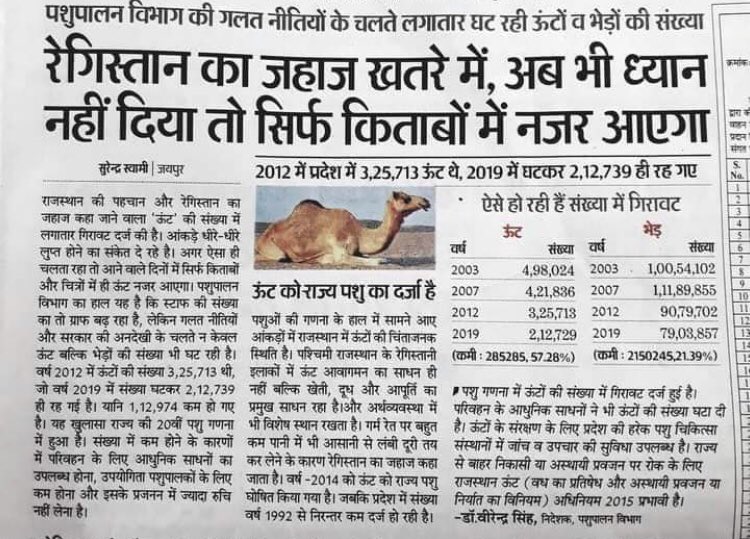 Ranjeetrajgur's tweet image. #गहलोत_सरकार_ऊँट_बचाओ 
#ऊँट_अभ्यारण्य_की_स्थापना_करो

@ashokgehlot51 @KatariaLalchand