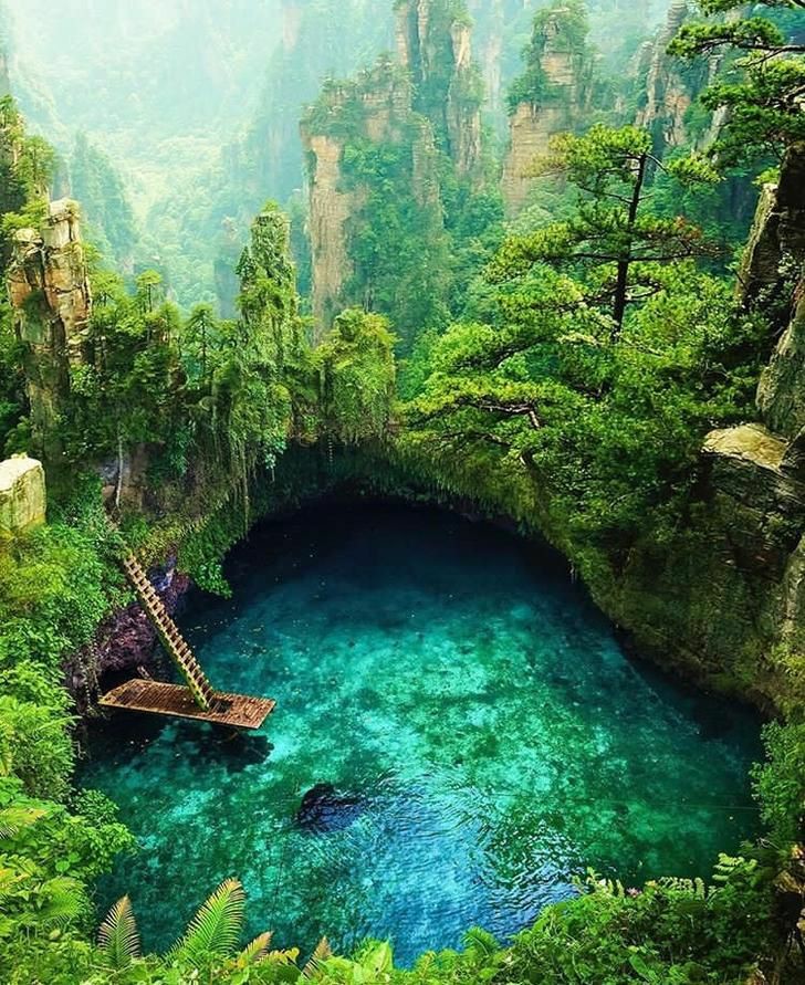BeautyNature___'s tweet photo. Beauty of nature.💚
#nature #NaturePhotography https://t.co/X4AVjzjdHl