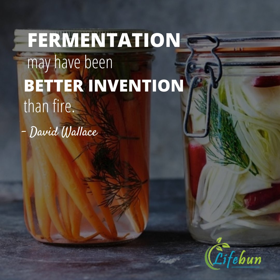 LifeBun1's tweet photo. The consumption of foods and drinks that have undergone fermentation contain benefits to health that stretch beyond food preservation.

Learn More about Fermentation Food: https://t.co/gGTjJpA74k

#fermentation #fermentedfoods #homemade #food #organic #fermented #healthyfood https://t.co/roUAF2bit6