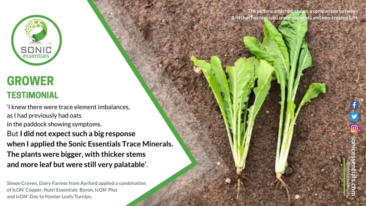 SonicEssentials's tweet photo. #growertestimonial #IcON #nutriessentials #sonicessentials #plantnutrition https://t.co/jT1rpgHuv6