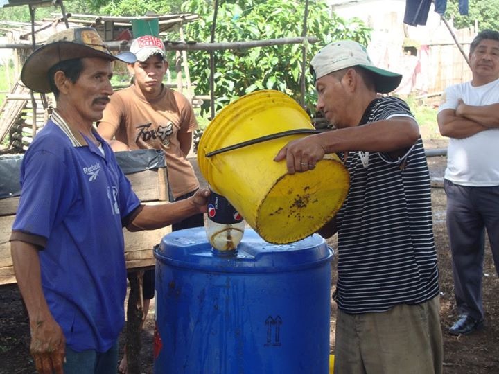 MovCampesinoEc's tweet photo. Este mes se cumplen 18 años desde que el Movimiento Nacional Campesino FECAOL promueve la Agricultura Orgánica y la Agroecología en el Ecuador. 

Y nuestro trabajo no se detiene, seguimos fortaleciendo la Soberanía Alimentaria en el país. 

#movimientonacionalcampesino https://t.co/waaNno7alv